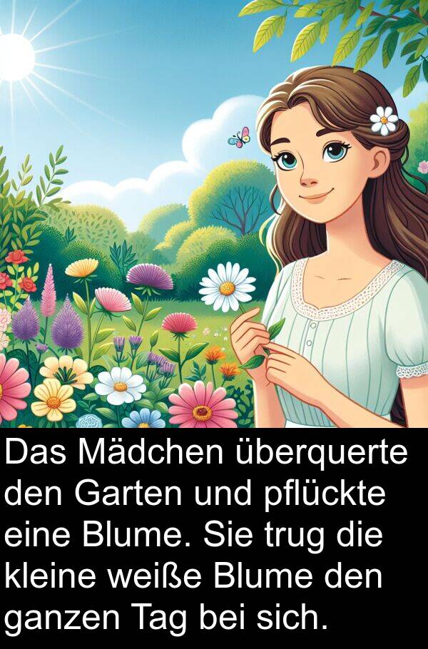 ganzen: Das Mädchen überquerte den Garten und pflückte eine Blume. Sie trug die kleine weiße Blume den ganzen Tag bei sich.