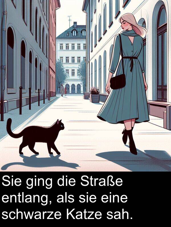 Katze: Sie ging die Straße entlang, als sie eine schwarze Katze sah.