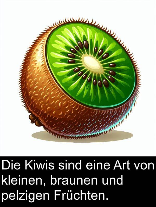 Kiwis: Die Kiwis sind eine Art von kleinen, braunen und pelzigen Früchten.