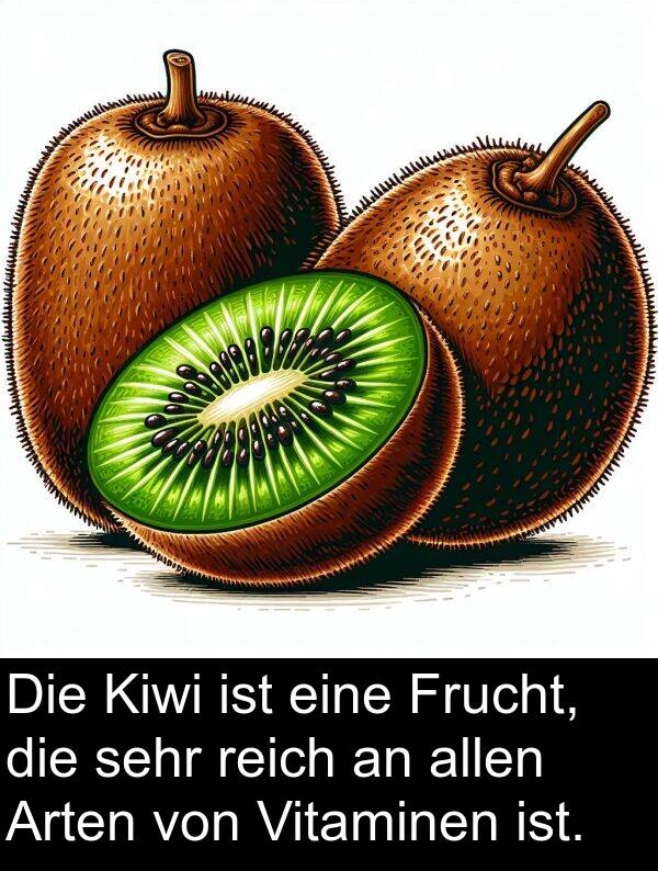 Arten: Die Kiwi ist eine Frucht, die sehr reich an allen Arten von Vitaminen ist.