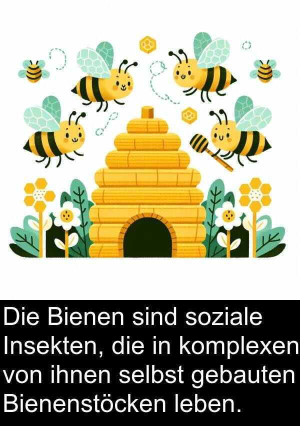 Insekten: Die Bienen sind soziale Insekten, die in komplexen von ihnen selbst gebauten Bienenstöcken leben.