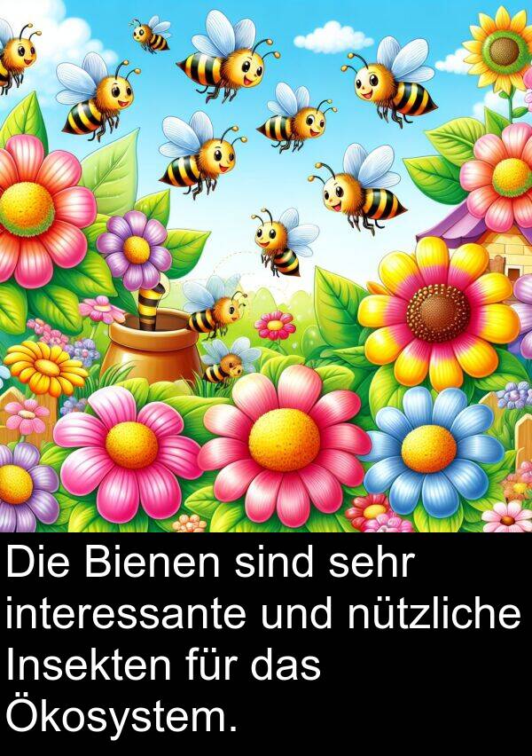 Insekten: Die Bienen sind sehr interessante und nützliche Insekten für das Ökosystem.