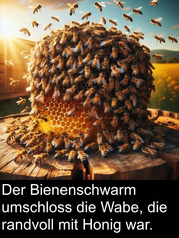 Wabe: Der Bienenschwarm umschloss die Wabe, die randvoll mit Honig war.