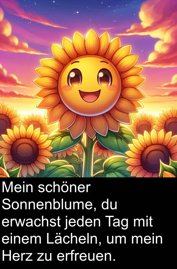 jeden: Mein schöner Sonnenblume, du erwachst jeden Tag mit einem Lächeln, um mein Herz zu erfreuen.