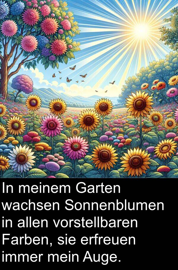 Garten: In meinem Garten wachsen Sonnenblumen in allen vorstellbaren Farben, sie erfreuen immer mein Auge.