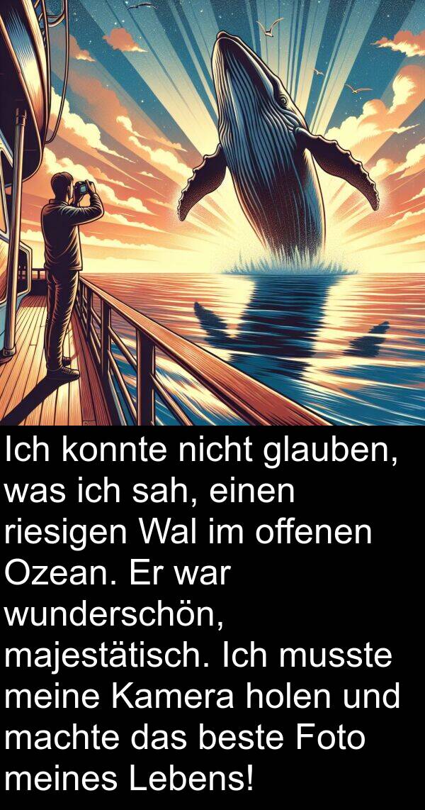 Kamera: Ich konnte nicht glauben, was ich sah, einen riesigen Wal im offenen Ozean. Er war wunderschön, majestätisch. Ich musste meine Kamera holen und machte das beste Foto meines Lebens!