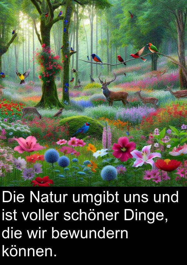 Natur: Die Natur umgibt uns und ist voller schöner Dinge, die wir bewundern können.