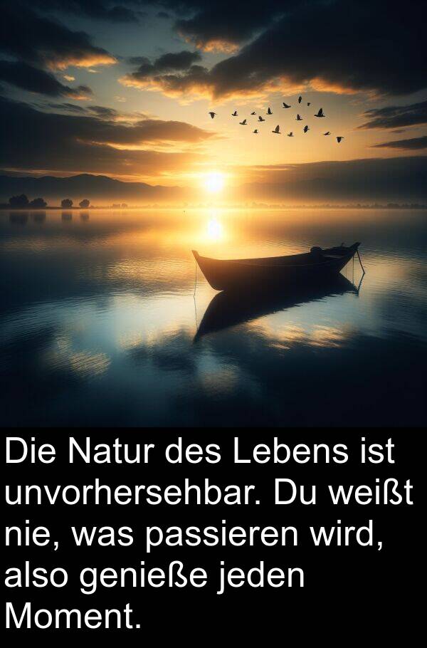 Natur: Die Natur des Lebens ist unvorhersehbar. Du weißt nie, was passieren wird, also genieße jeden Moment.