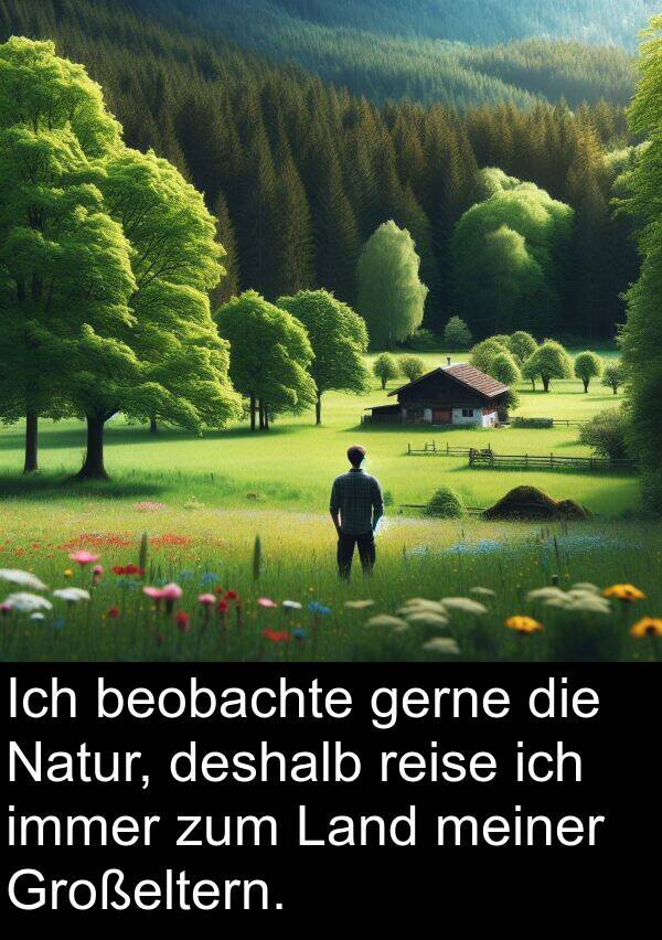 Natur: Ich beobachte gerne die Natur, deshalb reise ich immer zum Land meiner Großeltern.