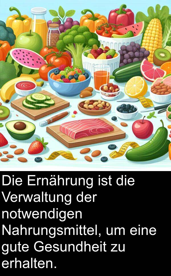 Ernährung: Die Ernährung ist die Verwaltung der notwendigen Nahrungsmittel, um eine gute Gesundheit zu erhalten.