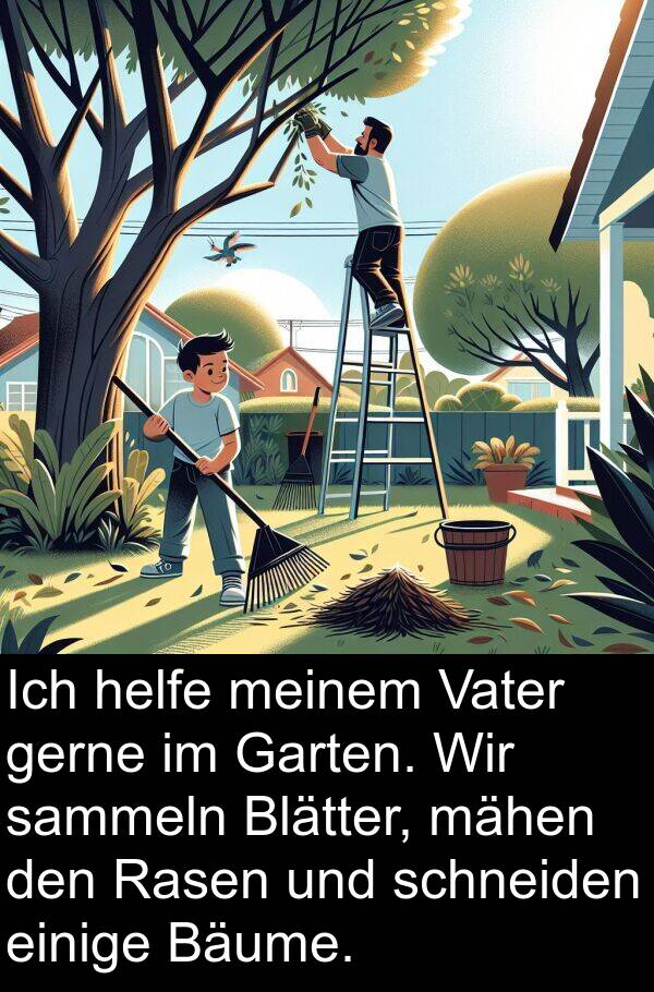 einige: Ich helfe meinem Vater gerne im Garten. Wir sammeln Blätter, mähen den Rasen und schneiden einige Bäume.