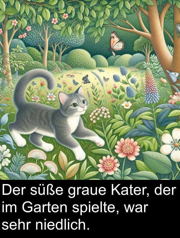 Garten: Der süße graue Kater, der im Garten spielte, war sehr niedlich.