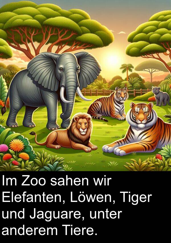 Tiger: Im Zoo sahen wir Elefanten, Löwen, Tiger und Jaguare, unter anderem Tiere.