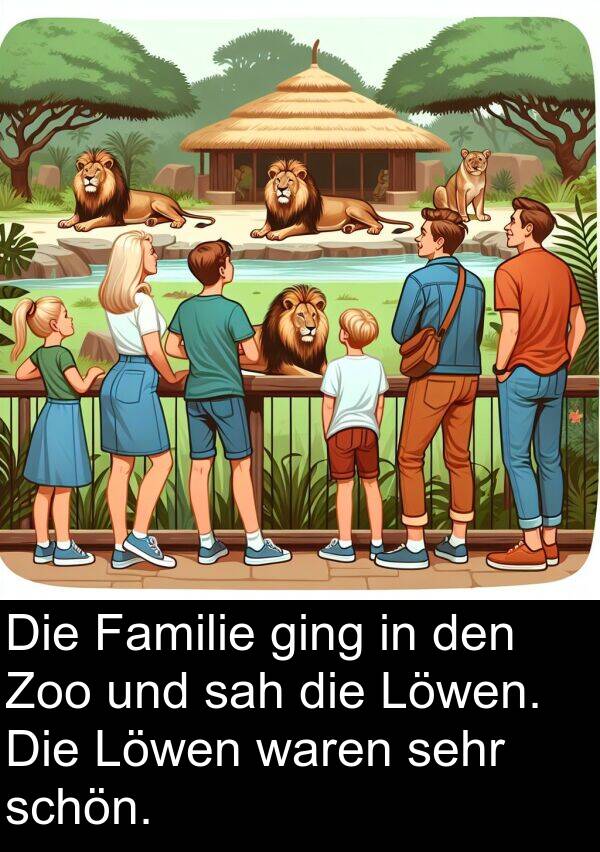 Familie: Die Familie ging in den Zoo und sah die Löwen. Die Löwen waren sehr schön.