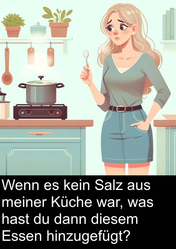 kein: Wenn es kein Salz aus meiner Küche war, was hast du dann diesem Essen hinzugefügt?