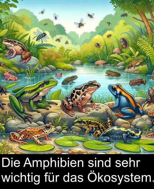 für: Die Amphibien sind sehr wichtig für das Ökosystem.