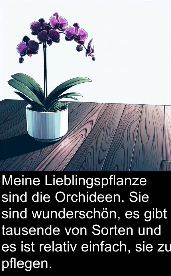 Lieblingspflanze: Meine Lieblingspflanze sind die Orchideen. Sie sind wunderschön, es gibt tausende von Sorten und es ist relativ einfach, sie zu pflegen.