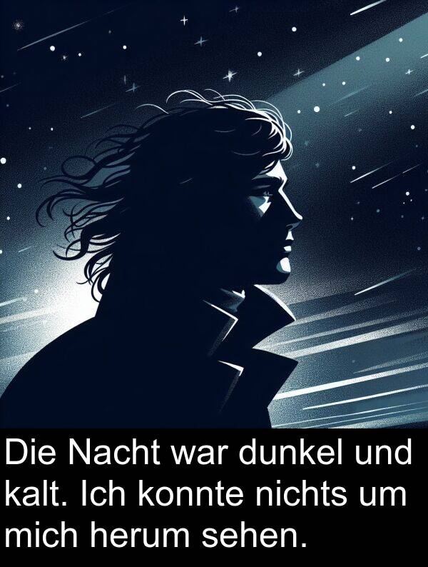 dunkel: Die Nacht war dunkel und kalt. Ich konnte nichts um mich herum sehen.