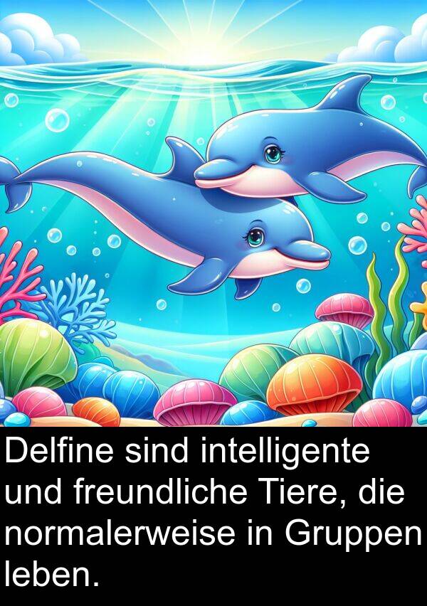 Delfine: Delfine sind intelligente und freundliche Tiere, die normalerweise in Gruppen leben.