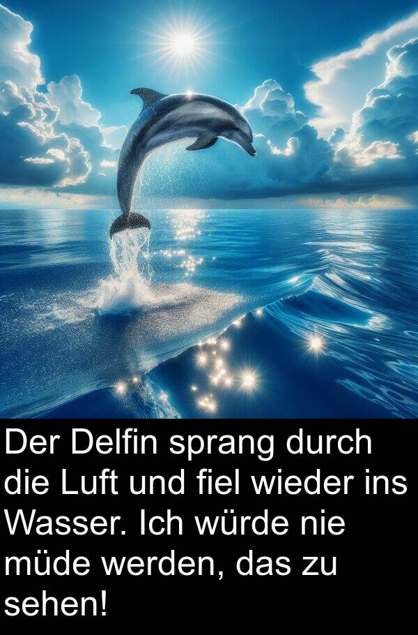 Delfin: Der Delfin sprang durch die Luft und fiel wieder ins Wasser. Ich würde nie müde werden, das zu sehen!