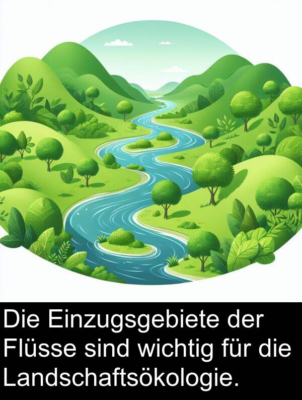 wichtig: Die Einzugsgebiete der Flüsse sind wichtig für die Landschaftsökologie.