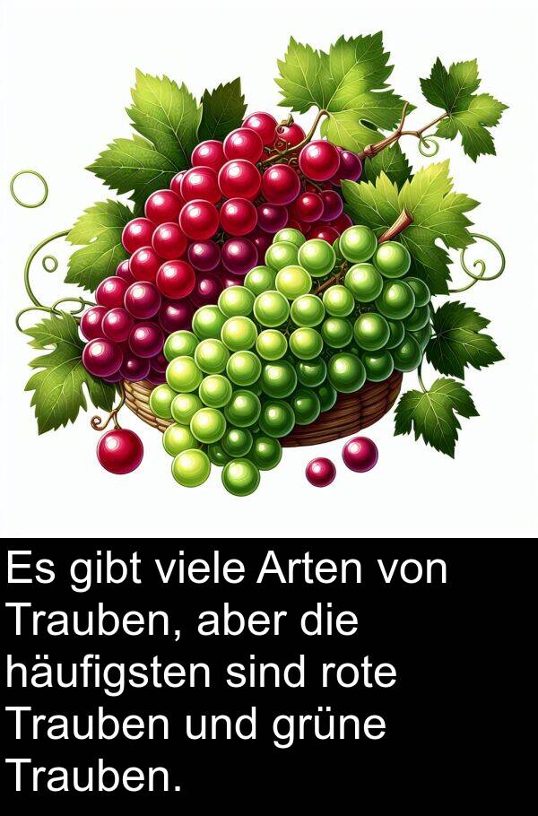 Arten: Es gibt viele Arten von Trauben, aber die häufigsten sind rote Trauben und grüne Trauben.