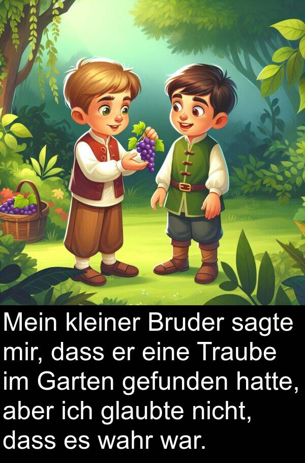 gefunden: Mein kleiner Bruder sagte mir, dass er eine Traube im Garten gefunden hatte, aber ich glaubte nicht, dass es wahr war.