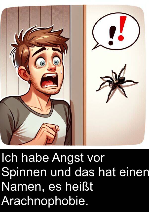 Namen: Ich habe Angst vor Spinnen und das hat einen Namen, es heißt Arachnophobie.