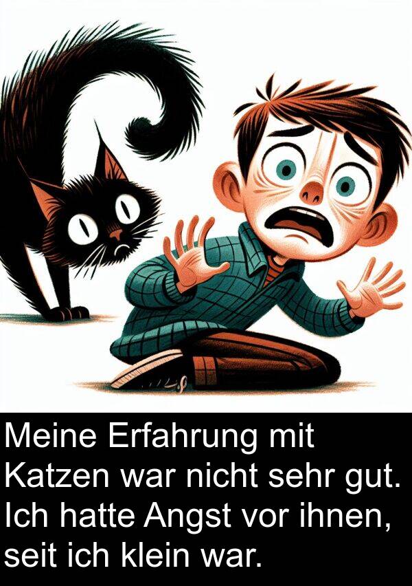 Katzen: Meine Erfahrung mit Katzen war nicht sehr gut. Ich hatte Angst vor ihnen, seit ich klein war.