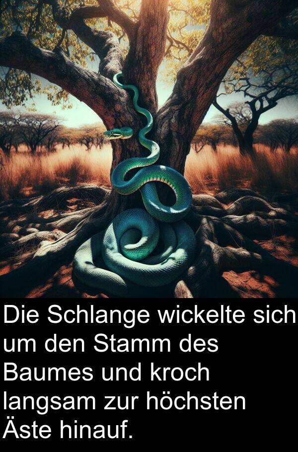 kroch: Die Schlange wickelte sich um den Stamm des Baumes und kroch langsam zur höchsten Äste hinauf.