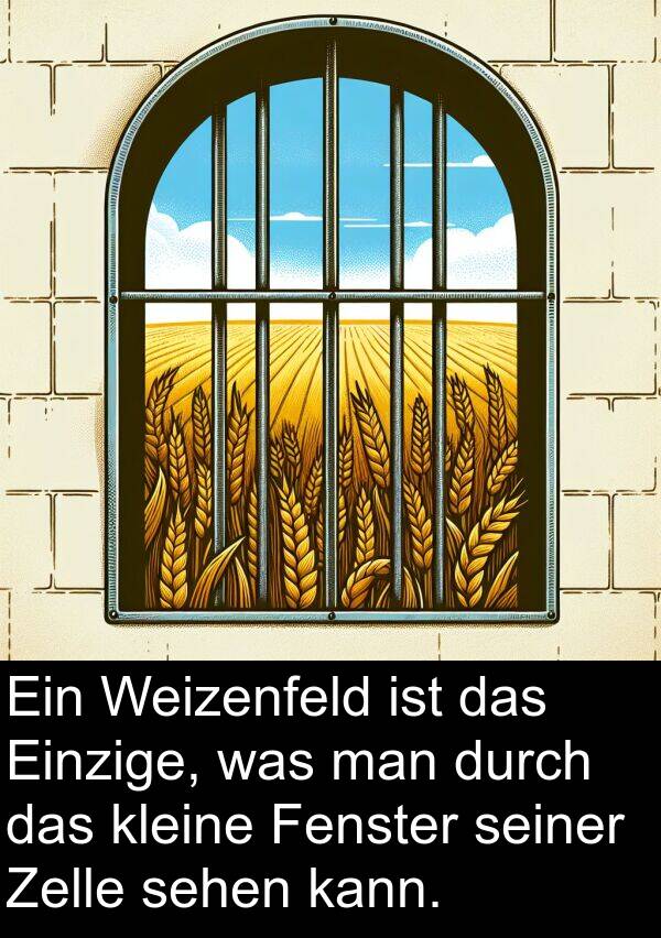 was: Ein Weizenfeld ist das Einzige, was man durch das kleine Fenster seiner Zelle sehen kann.