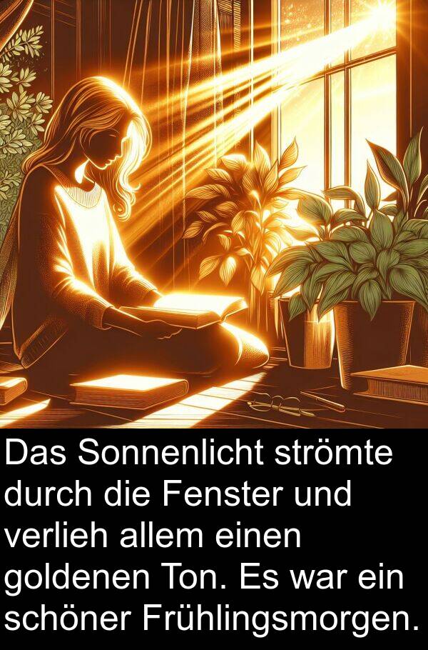 Ton: Das Sonnenlicht strömte durch die Fenster und verlieh allem einen goldenen Ton. Es war ein schöner Frühlingsmorgen.