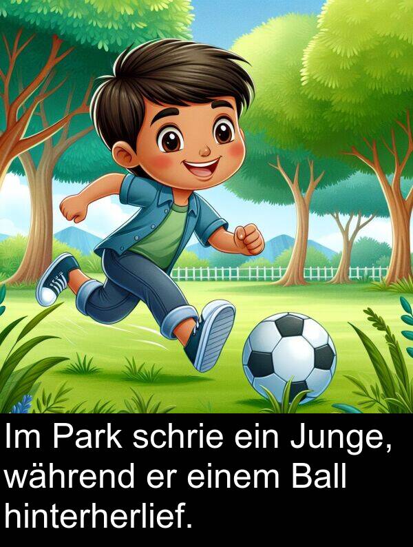 einem: Im Park schrie ein Junge, während er einem Ball hinterherlief.