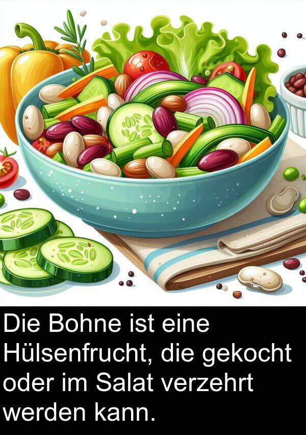 Hülsenfrucht: Die Bohne ist eine Hülsenfrucht, die gekocht oder im Salat verzehrt werden kann.