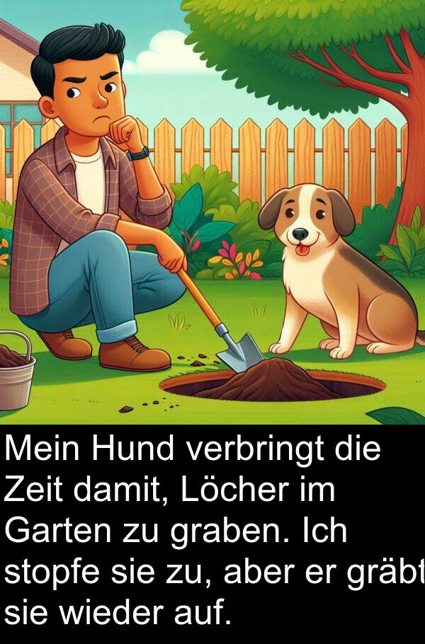 verbringt: Mein Hund verbringt die Zeit damit, Löcher im Garten zu graben. Ich stopfe sie zu, aber er gräbt sie wieder auf.