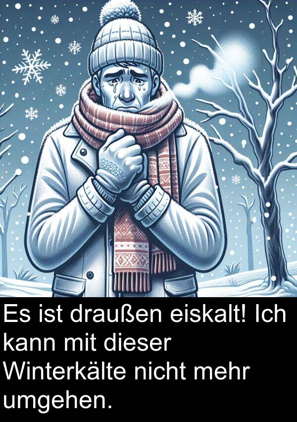 umgehen: Es ist draußen eiskalt! Ich kann mit dieser Winterkälte nicht mehr umgehen.