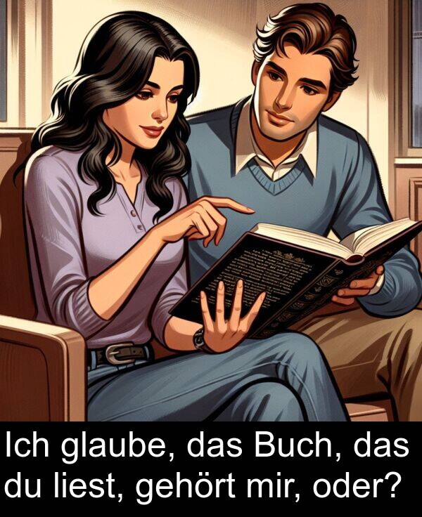 glaube: Ich glaube, das Buch, das du liest, gehört mir, oder?