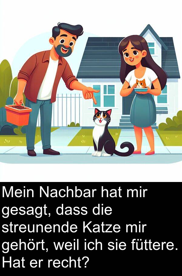 füttere: Mein Nachbar hat mir gesagt, dass die streunende Katze mir gehört, weil ich sie füttere. Hat er recht?