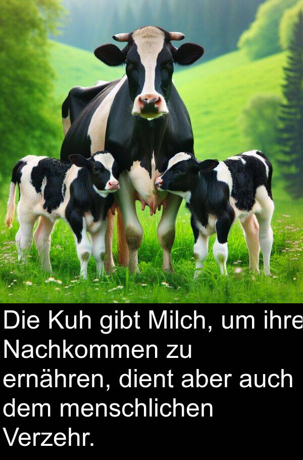 Kuh: Die Kuh gibt Milch, um ihre Nachkommen zu ernähren, dient aber auch dem menschlichen Verzehr.