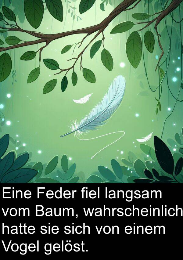 langsam: Eine Feder fiel langsam vom Baum, wahrscheinlich hatte sie sich von einem Vogel gelöst.