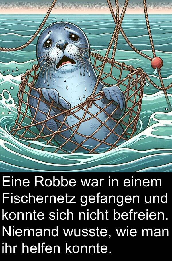 Fischernetz: Eine Robbe war in einem Fischernetz gefangen und konnte sich nicht befreien. Niemand wusste, wie man ihr helfen konnte.