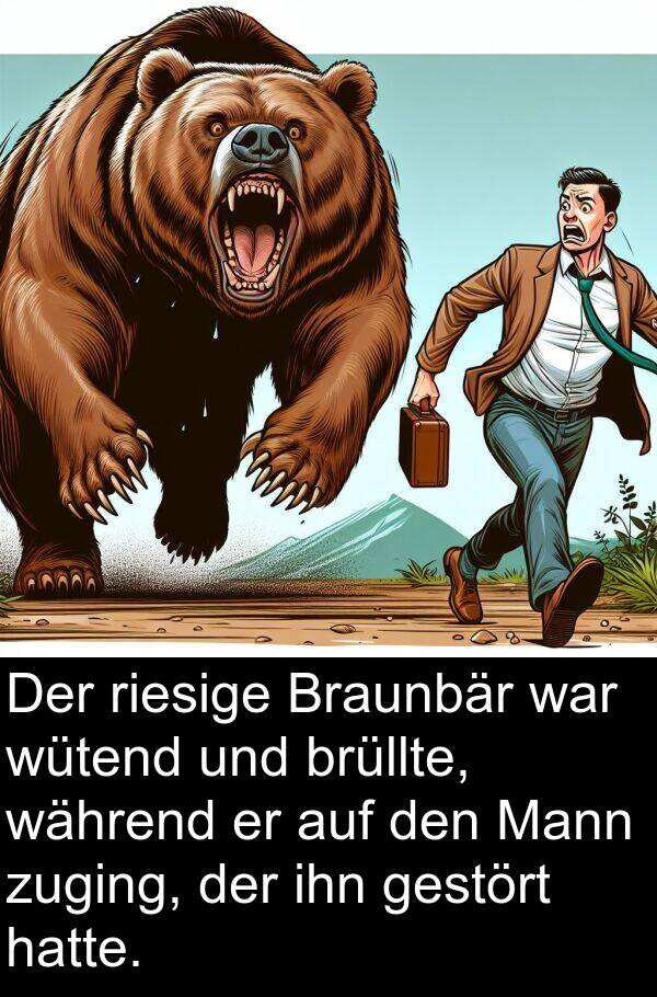 zuging: Der riesige Braunbär war wütend und brüllte, während er auf den Mann zuging, der ihn gestört hatte.