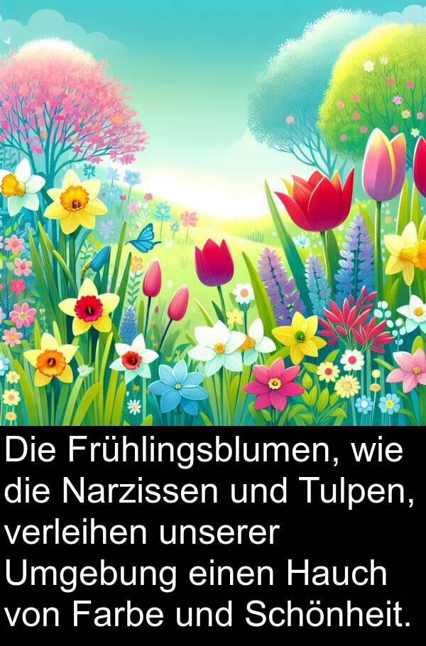 Narzissen: Die Frühlingsblumen, wie die Narzissen und Tulpen, verleihen unserer Umgebung einen Hauch von Farbe und Schönheit.