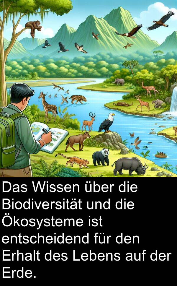 Erhalt: Das Wissen über die Biodiversität und die Ökosysteme ist entscheidend für den Erhalt des Lebens auf der Erde.