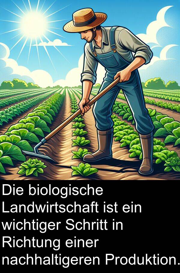 Landwirtschaft: Die biologische Landwirtschaft ist ein wichtiger Schritt in Richtung einer nachhaltigeren Produktion.