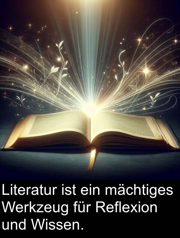 Reflexion: Literatur ist ein mächtiges Werkzeug für Reflexion und Wissen.