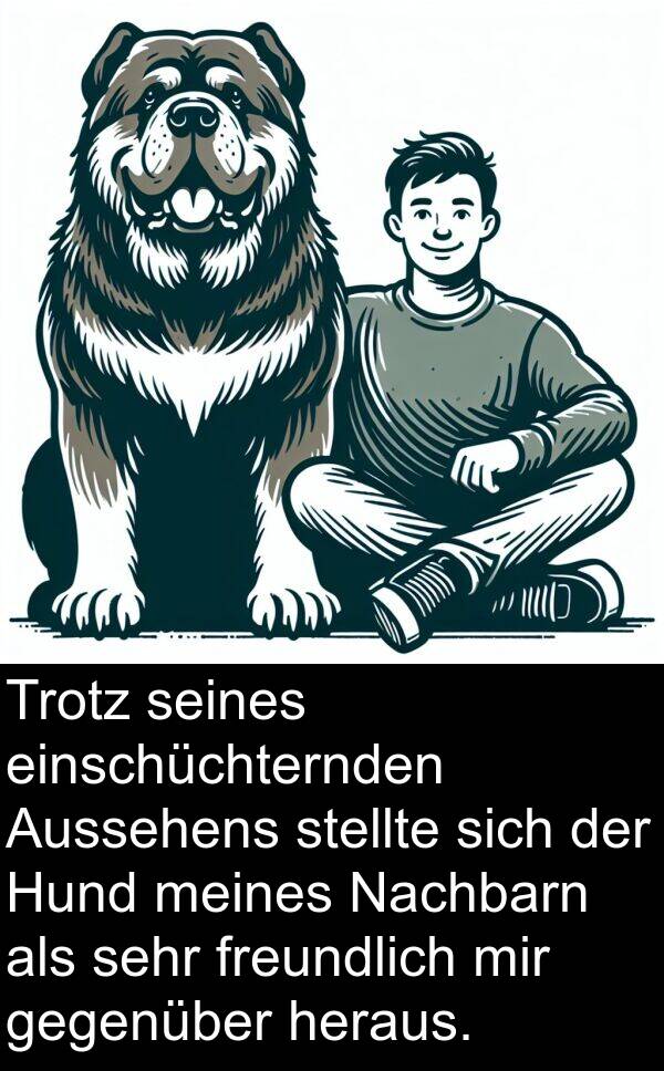 Nachbarn: Trotz seines einschüchternden Aussehens stellte sich der Hund meines Nachbarn als sehr freundlich mir gegenüber heraus.