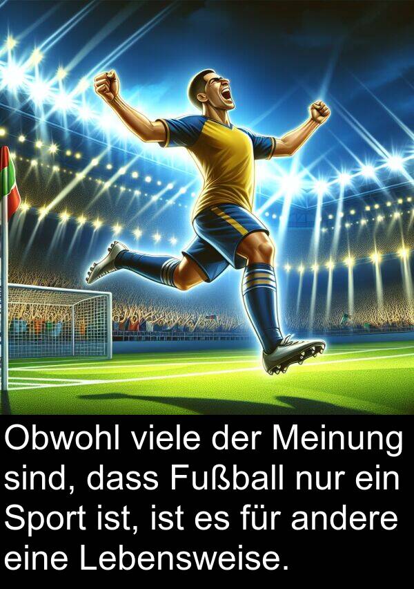 Fußball: Obwohl viele der Meinung sind, dass Fußball nur ein Sport ist, ist es für andere eine Lebensweise.