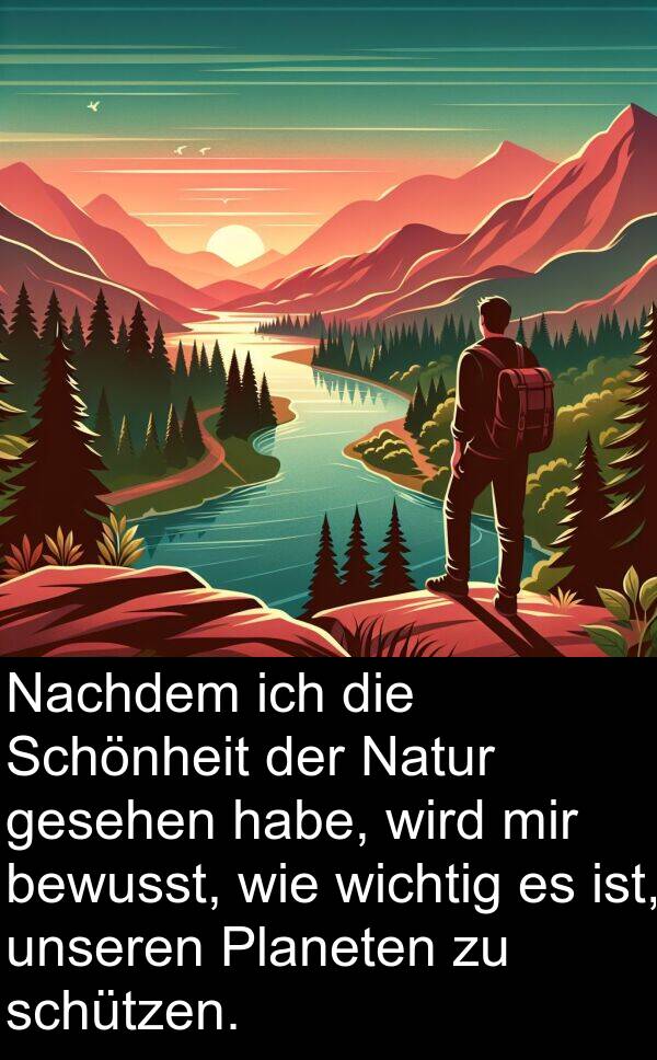 Nachdem: Nachdem ich die Schönheit der Natur gesehen habe, wird mir bewusst, wie wichtig es ist, unseren Planeten zu schützen.