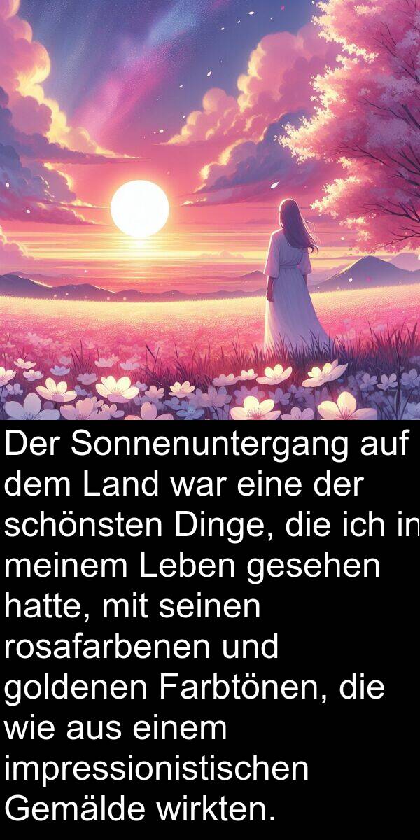 Dinge: Der Sonnenuntergang auf dem Land war eine der schönsten Dinge, die ich in meinem Leben gesehen hatte, mit seinen rosafarbenen und goldenen Farbtönen, die wie aus einem impressionistischen Gemälde wirkten.